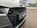 Audi TTS quattro 2.0 TFSI Coupe Competition Plus,Opti Grau - thumbnail 25
