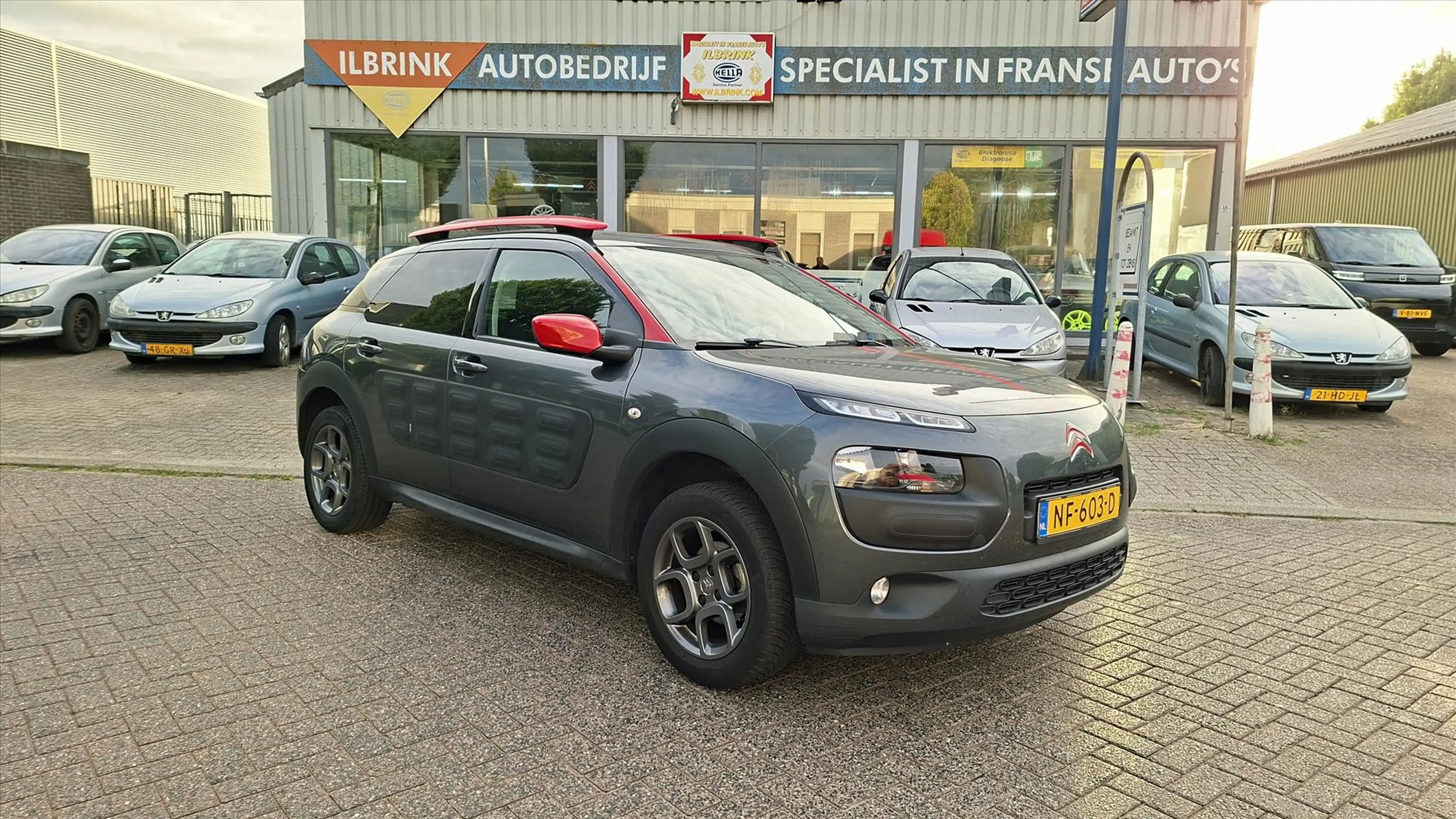 Citroen C4 Cactus VTi 82pk SHINE AIRCO, CAMERA, NAVIGATIE, TREKHAAK