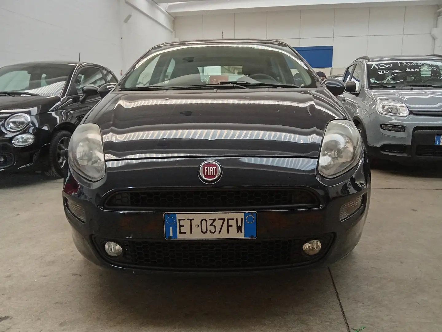 Fiat Punto 5p 1.3 mjt II 16v Lounge 75cv E5+ Blauw - 2