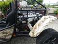 Quadix Buggy 1100 Buggy Renli 1100 4x4 LOF - thumbnail 7