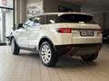Land Rover Range Rover Evoque 5p 2.2 td4 Launch edition 150cv - thumbnail 5