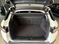 Land Rover Range Rover Evoque 5p 2.2 td4 Launch edition 150cv - thumbnail 19