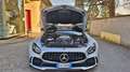 Mercedes-Benz AMG GT GT AMG R*IVA ESPOSTA*RESTYLING*EXHAUST*CARBON*ROLL Grijs - thumbnail 17