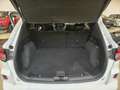 Ford Kuga Kuga 1.5 EcoBlue 120 CV aut. 2WD ST-Line X Wit - thumbnail 7