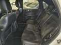 Ford Kuga Kuga 1.5 EcoBlue 120 CV aut. 2WD ST-Line X Wit - thumbnail 11