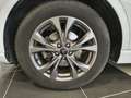Ford Kuga Kuga 1.5 EcoBlue 120 CV aut. 2WD ST-Line X Wit - thumbnail 5