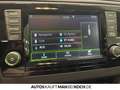 Skoda Rapid/Spaceback Rapid Spaceback 1.4 TSI DSG Joy Pano PDC v+h Nav Beige - thumbnail 20