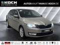 Skoda Rapid/Spaceback Rapid Spaceback 1.4 TSI DSG Joy Pano PDC v+h Nav Beige - thumbnail 1