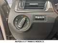 Skoda Rapid/Spaceback Rapid Spaceback 1.4 TSI DSG Joy Pano PDC v+h Nav Beige - thumbnail 14