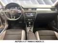 Skoda Rapid/Spaceback Rapid Spaceback 1.4 TSI DSG Joy Pano PDC v+h Nav Beige - thumbnail 8