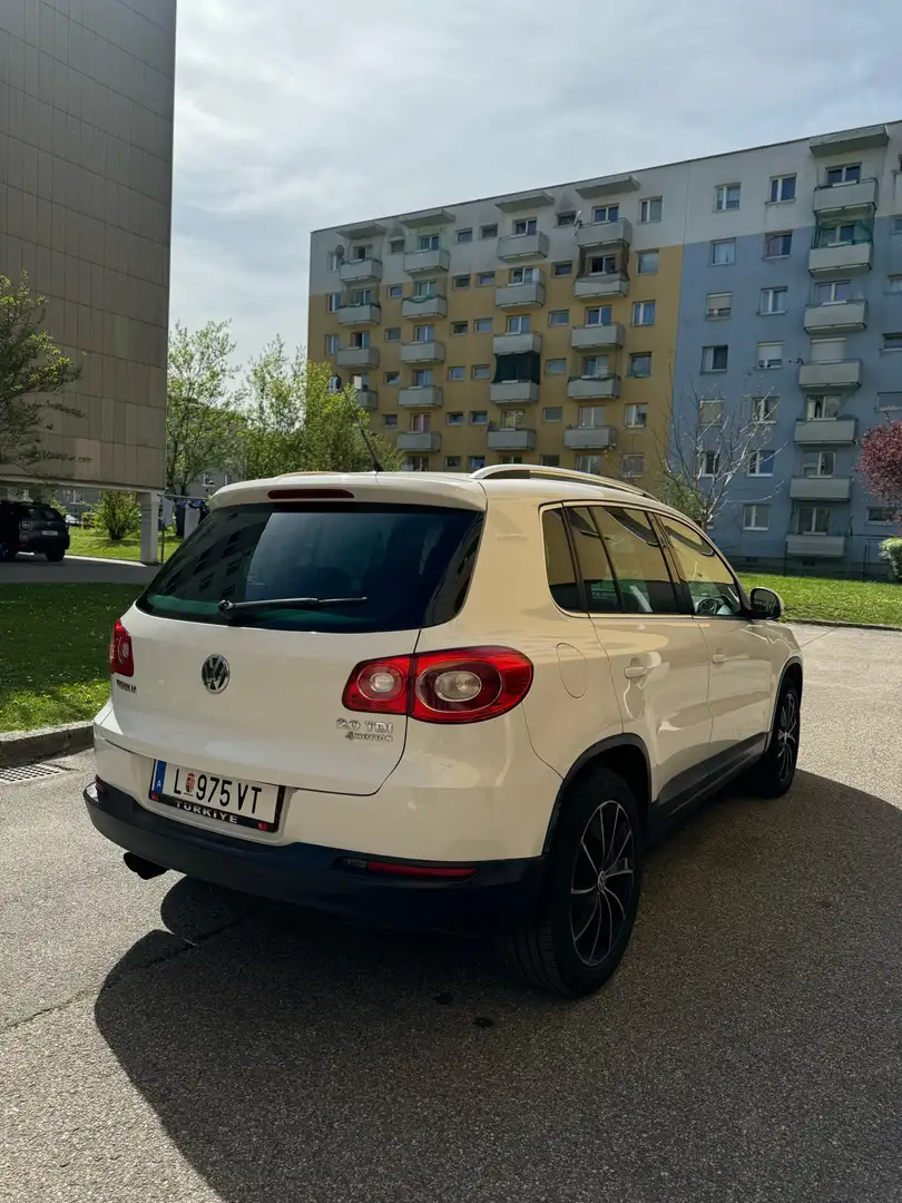 Volkswagen Tiguan 2,0 TDI 4Motion Sky DPF Weiß - 2