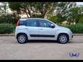 Fiat Panda Panda 1.2 Easy 69cv E6 Argento - thumbnail 2