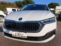 Skoda Octavia 2.0 TDI EVO SCR 150 CV DSG Wagon Executive Bianco - thumbnail 1