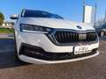 Skoda Octavia 2.0 TDI EVO SCR 150 CV DSG Wagon Executive Bianco - thumbnail 3