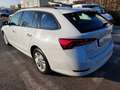 Skoda Octavia 2.0 TDI EVO SCR 150 CV DSG Wagon Executive Bianco - thumbnail 5