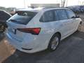 Skoda Octavia 2.0 TDI EVO SCR 150 CV DSG Wagon Executive Bianco - thumbnail 4