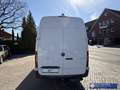 Mercedes-Benz Sprinter Sprinter 317 CDI L3H2 Automatik Mixto Leder AHK Ka Weiß - thumbnail 7