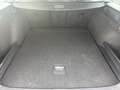 Volkswagen Passat Variant 2.0 TDI DSG Business R-Line 129€ m. 20% Anzahlun Rosso - thumbnail 19