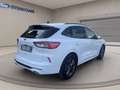 Ford Kuga 1.5 ecoblue ST-Line X 2wd 120cv auto Bianco - thumbnail 4