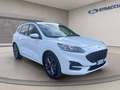 Ford Kuga 1.5 ecoblue ST-Line X 2wd 120cv auto Bianco - thumbnail 5
