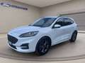 Ford Kuga 1.5 ecoblue ST-Line X 2wd 120cv auto Bianco - thumbnail 1