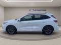 Ford Kuga 1.5 ecoblue ST-Line X 2wd 120cv auto Bianco - thumbnail 3