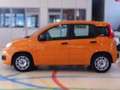 Fiat Panda 1.2 EasyPower Lounge Oranje - thumbnail 5
