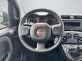 Fiat Panda Cross 1.0 GSE Klimaanlage Start-Stop BC teilb.Rück Schwarz - thumbnail 11