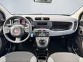 Fiat Panda Cross 1.0 GSE Klimaanlage Start-Stop BC teilb.Rück Schwarz - thumbnail 9