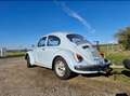 Volkswagen Käfer 1300 Azul - thumbnail 2
