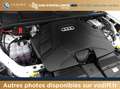 Audi Q7 55 TFSIe 394 CV QUATTRO S-LINE S-TRONIC Blanco - thumbnail 19