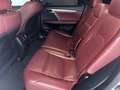 Lexus RX 300 AWD F Sport Pano,HUD,360°,MarkLevinson,ACC,Navi Weiß - thumbnail 10