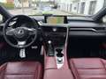 Lexus RX 300 AWD F Sport Pano,HUD,360°,MarkLevinson,ACC,Navi Weiß - thumbnail 12