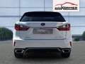 Lexus RX 300 AWD F Sport Pano,HUD,360°,MarkLevinson,ACC,Navi Weiß - thumbnail 3