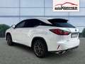 Lexus RX 300 AWD F Sport Pano,HUD,360°,MarkLevinson,ACC,Navi Weiß - thumbnail 5