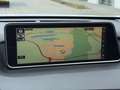 Lexus RX 300 AWD F Sport Pano,HUD,360°,MarkLevinson,ACC,Navi Weiß - thumbnail 14