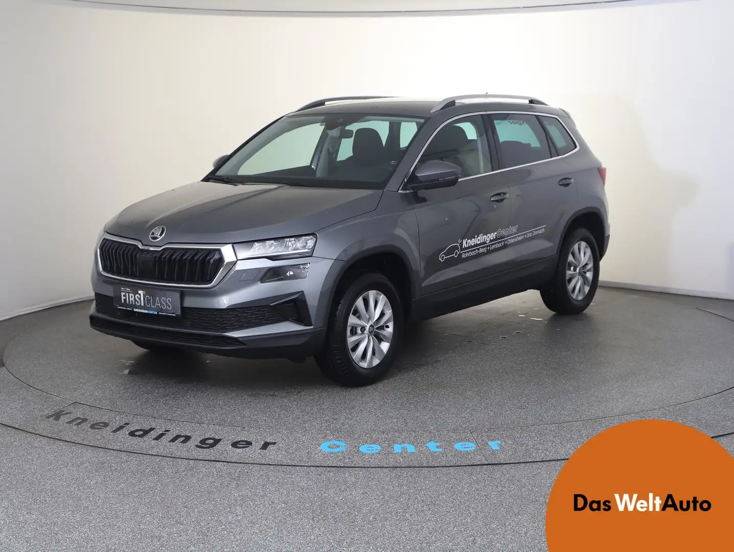 Skoda Karoq Selection TDI Grau - 1