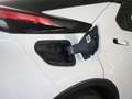Toyota C-HR 220PH Advance Blanco - thumbnail 6