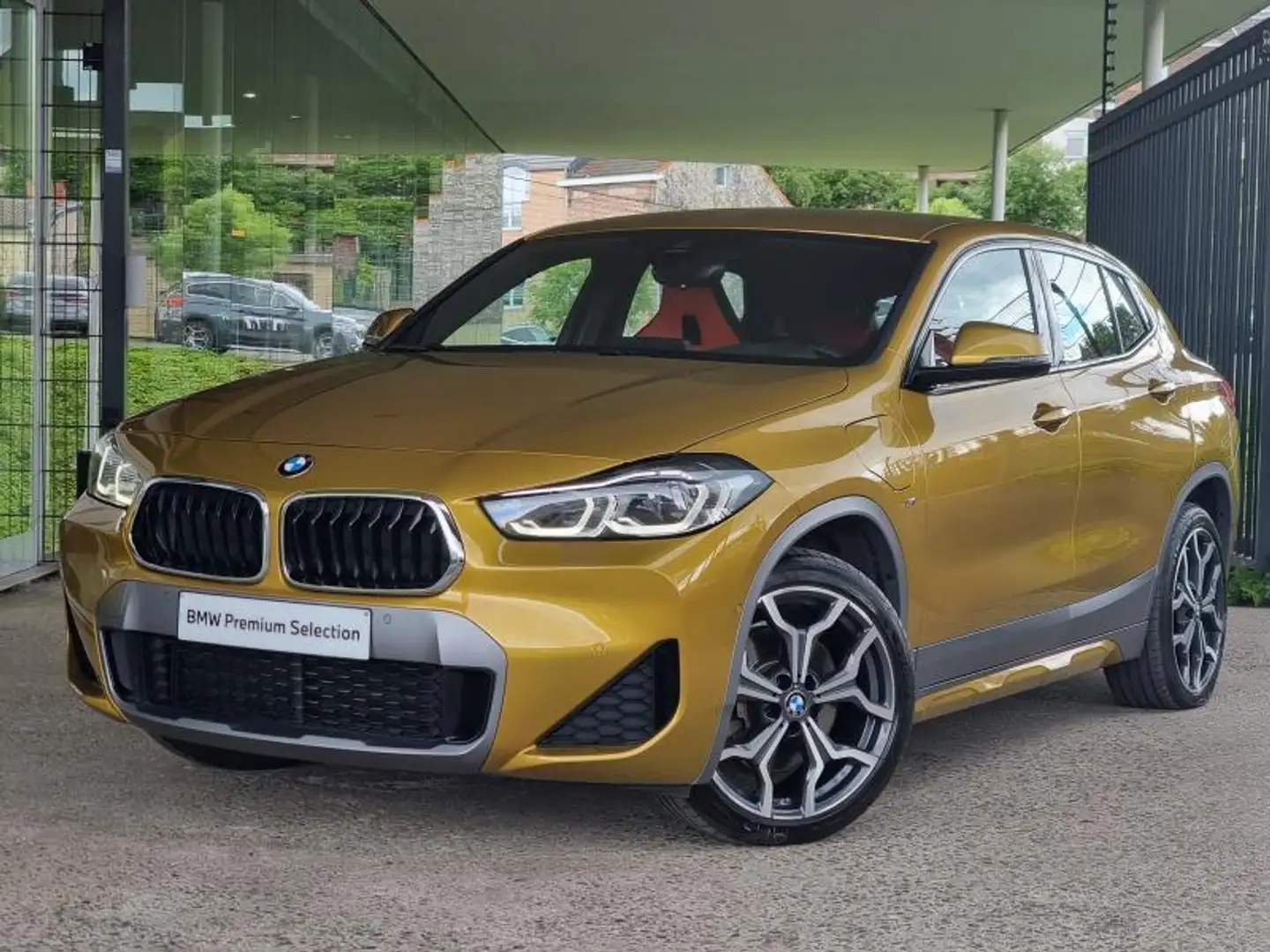 BMW X2 25e xDrive Goud - 1