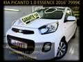 Kia Picanto PICANTO 1.0 ESSENCE 54MKM ‼️GARANTIE 1 AN CTOK‼️ Weiß - thumbnail 1
