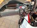 Ducati DesertX Rallye + Tva Récupérable Weiß - thumbnail 3