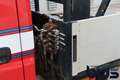 Mitsubishi Canter 3C13 3.0 DI 340 Dub.Cab. / Kraan / Airco - thumbnail 3