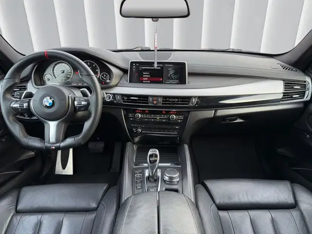 BMW X6 view 10