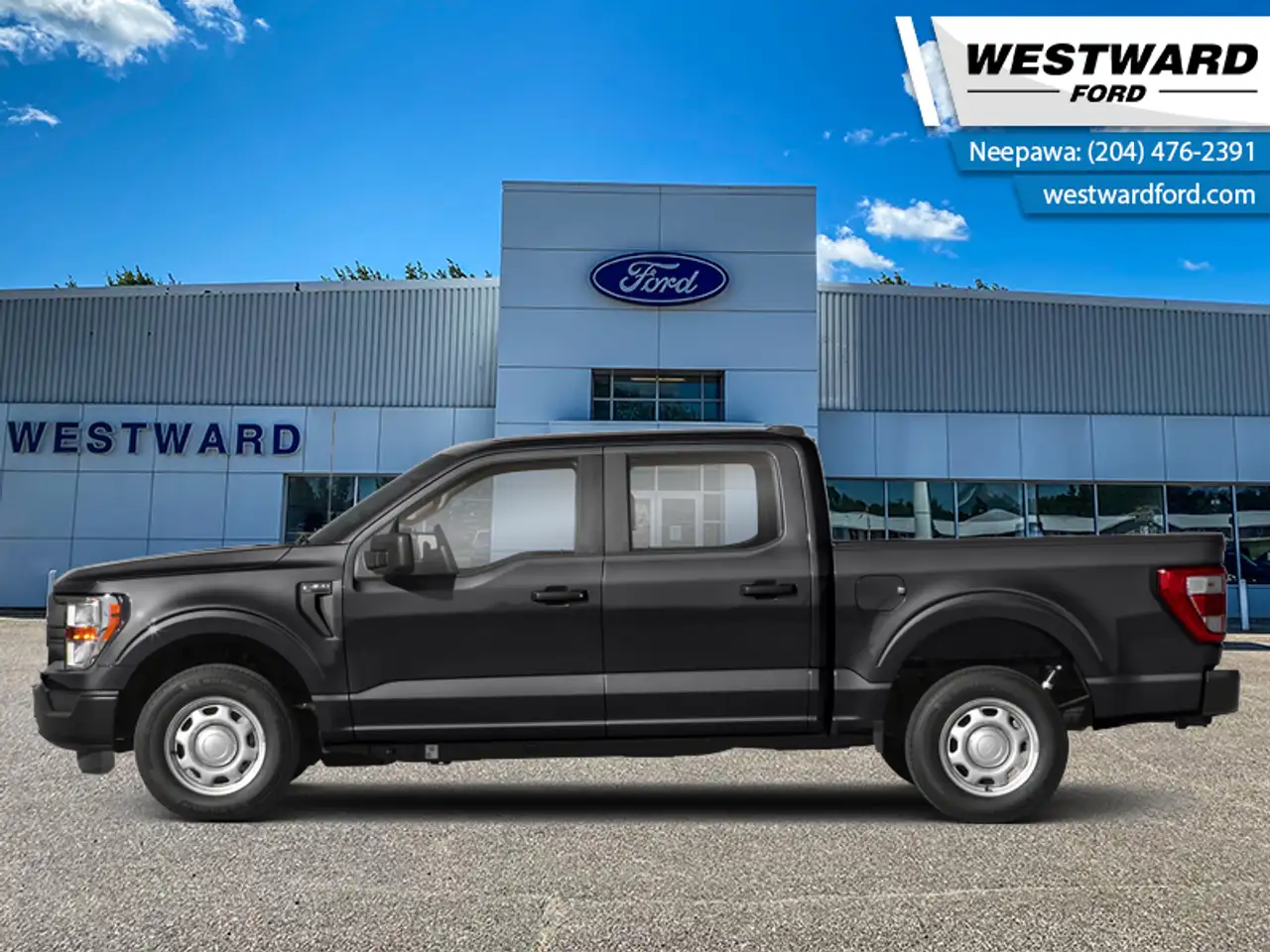 2023 Ford F 150