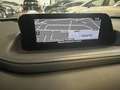 Mazda CX-30 2.0 m-hybrid Executive 2wd 122cv 6mt Bianco - thumbnail 11