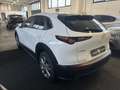 Mazda CX-30 2.0 m-hybrid Executive 2wd 122cv 6mt Bianco - thumbnail 5