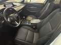 Mazda CX-30 2.0 m-hybrid Executive 2wd 122cv 6mt Bianco - thumbnail 7