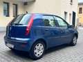 Fiat Punto Punto 1.2 5 porte Actual Blu/Azzurro - thumbnail 5