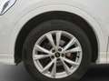 Audi Q3 S line 35 TDI S line*Navi*Alu PDC*Virtual Coc Wit - thumbnail 13