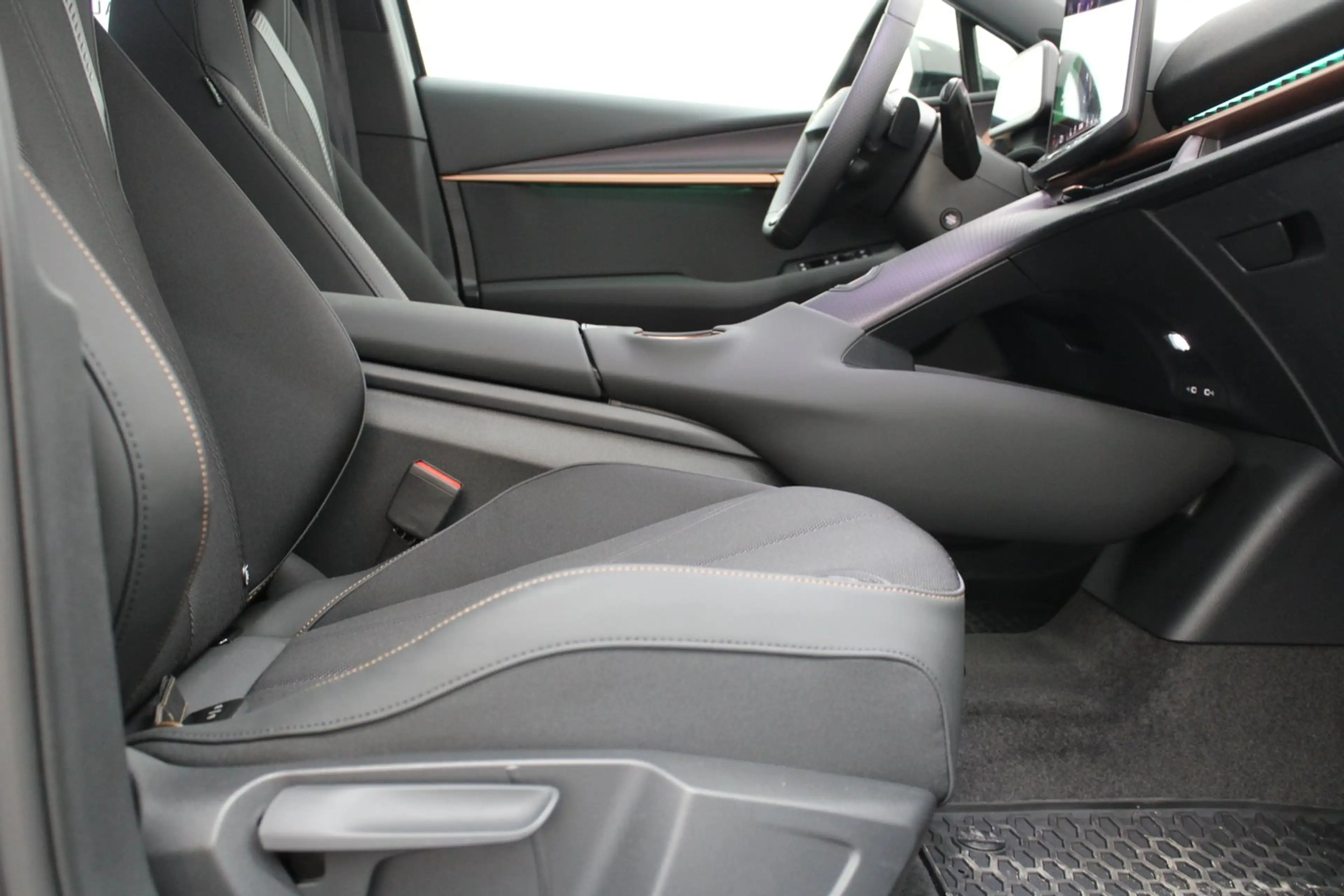 CUPRA Tavascan 210kW/286PS — photo 8